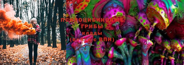 винт Абаза