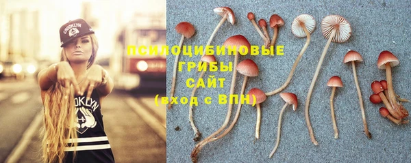 дмт Абинск
