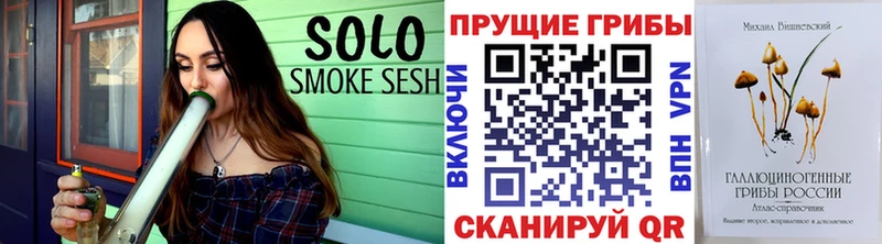 Галлюциногенные грибы Psilocybine cubensis  Южноуральск 